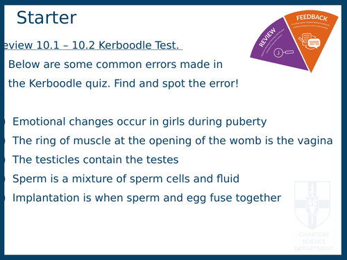 10.2.4 Development of a Foetus