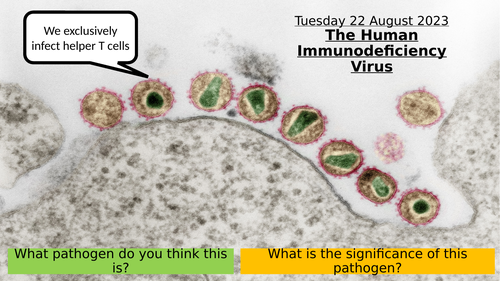 5.7 The Human Immunodeficiency Virus