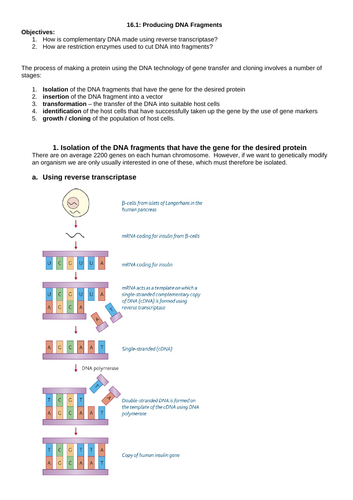 6.3 Manipulating Genomes
