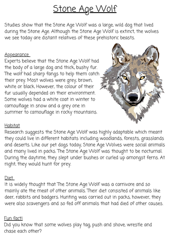 Non-chronological Report Stone Age Wolf