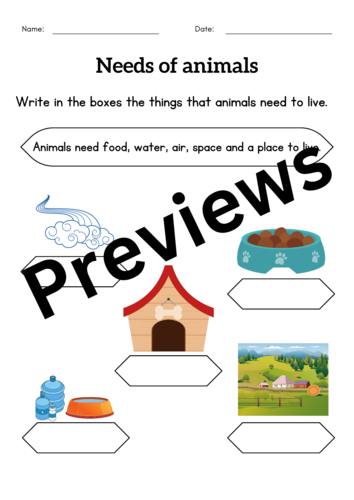 Basic human needs and basic needs of animals activities worksheet for grade 1 ,2