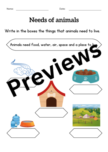 basic-human-needs-and-basic-needs-of-animals-activities-worksheet-for