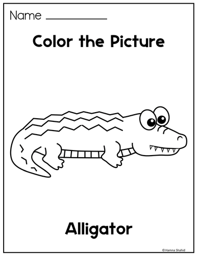 Animal Coloring Pages