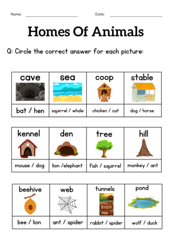 Animals and their homes worksheets for grade 1 2 3 - homes of animals