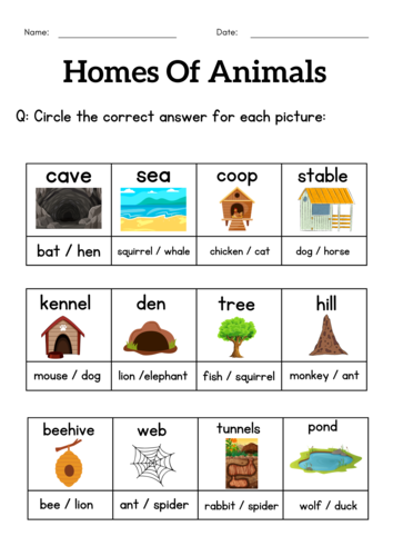 Animals and their homes worksheets for grade 1 2 3 - homes of animals activity