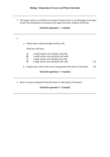 GCSE Questions: Adaptations of Leaves and Plants