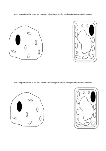 Cells and Observing Cells