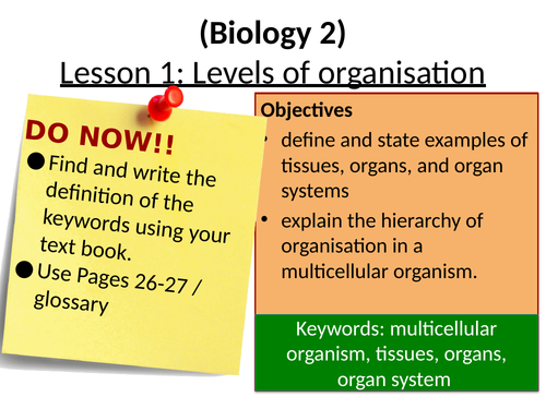 Levels of organization