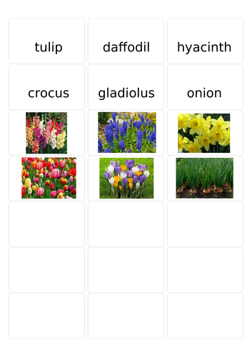 Common plants (from bulbs)  and names to match on stickers