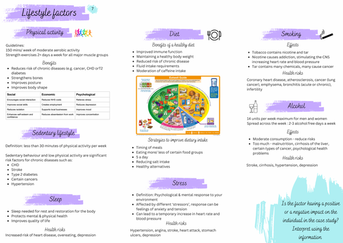Lifestyle factors summary sheet