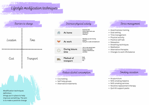 Lifestyle modifications summary sheet