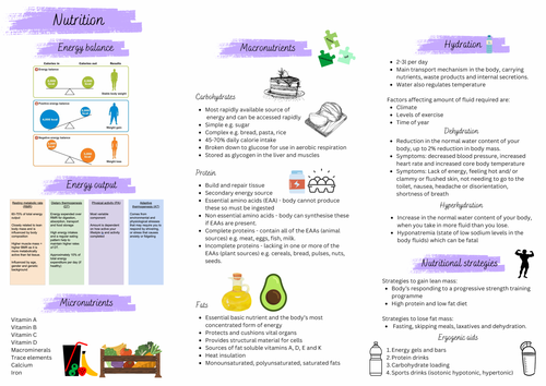 Nutrition summary sheet