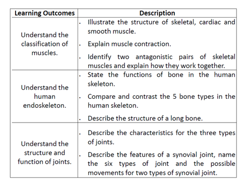 MusculoSkeletal System