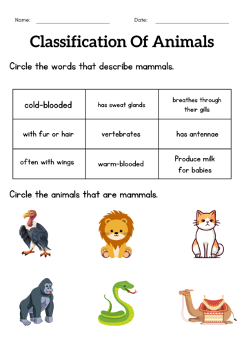 Classification of animals worksheet for grade 1 -  animal classification for kids