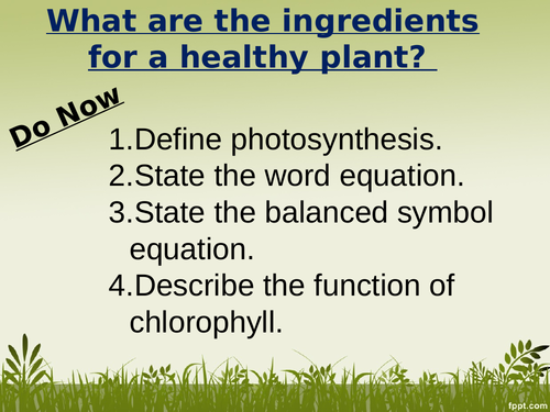 Photosynthesis