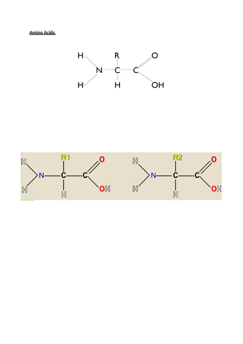 A level Biological Molecules Proteins