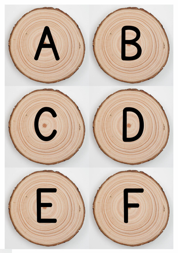 Uppercase alphabet display on wooden log slices