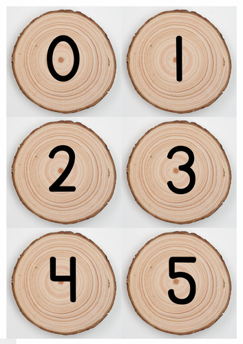 Numbers to 20 classroom display on log slices