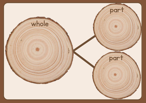 Part part whole wooden log slices 2