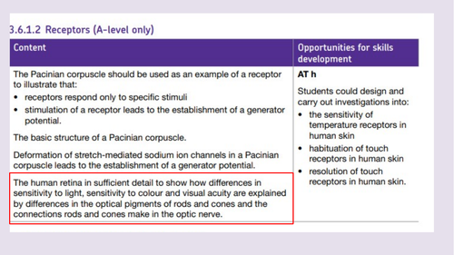 AQA A level Receptors