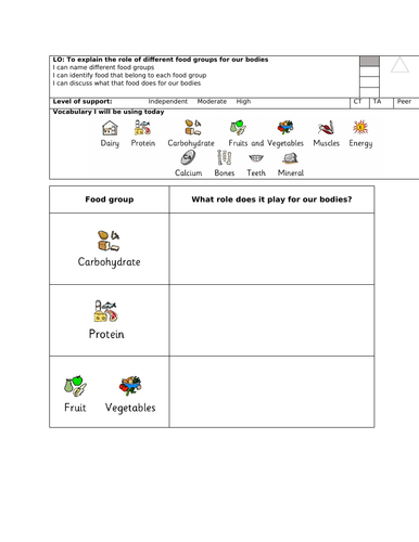 LKS2 Year 3/4 Science Lesson - The role of food groups