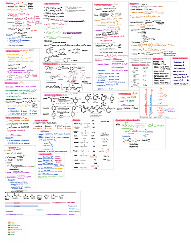 Ultimate 1 page cheat sheet for Organic Chemistry II exam