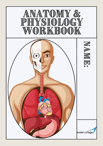 BTEC Level 3 Sport: Unit 1 Anatomy Workbook