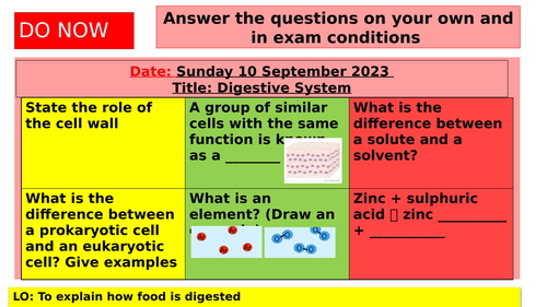 KS3 - Digestive System 2023