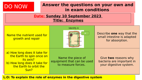 KS3 - Enzymes