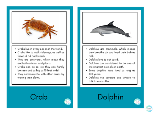 Ocean Animals Fact Cards