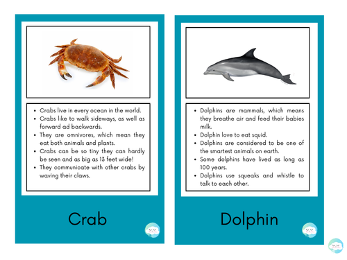 Ocean Animals Fact Cards (Extended)