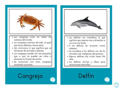 Tarjetas informativas con datos curiosos sobre animales del océano