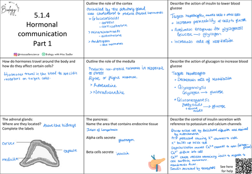 5.1.4 Hormonal communication revision grid OCR A level Biology