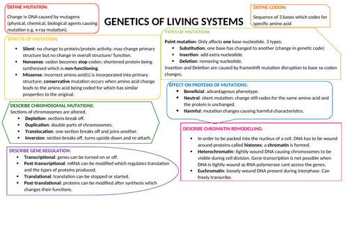 Genetics of Living Systems