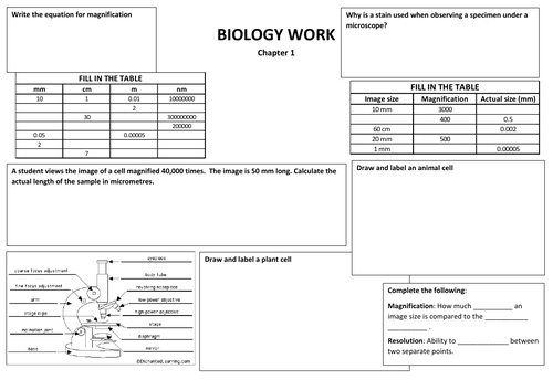 AQA Biology Paper 1 Worksheet