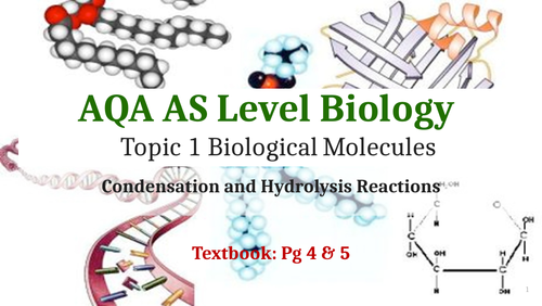 AQA Biology Unit 1 Biological Molecules (Complete set of PowerPoints ...