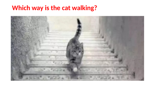 Positivity Personality Test Assembly - Positive thinking day Sept 13