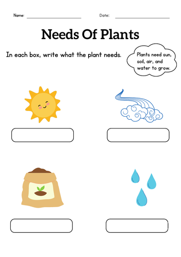 Kindergarten what do plants need to grow worksheet - Plant basic needs