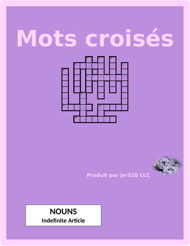 Articles and Nouns in French Crossword