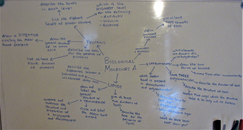 AS Biology Biological Molcules Questionmap