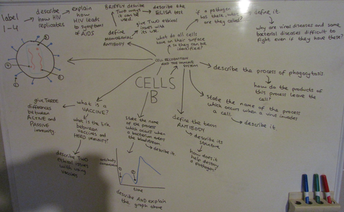 AS Biology Cells Questionmap