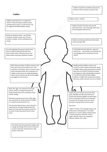 Toddler - Nutritional Needs Summary Sheet