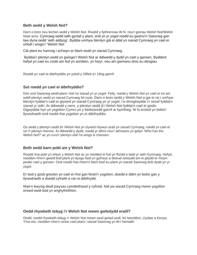 Beth oedd y Welsh Not? Taflen Gwaith Blwyddyn 6 Cymraeg Iaith Gyntaf