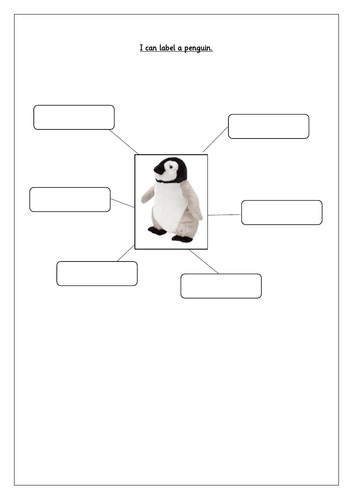 Label a penguin