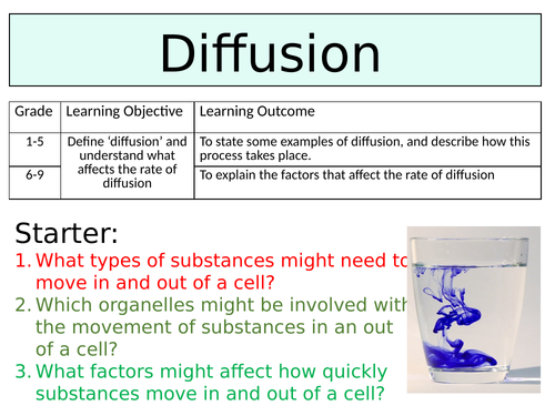 OCR GCSE (9-1) Biology - Diffusion