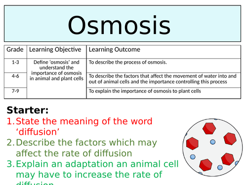 OCR GCSE (9-1) Biology - Osmosis