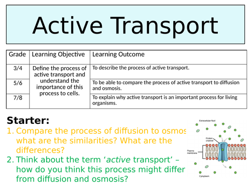OCR GCSE (9-1) Biology - Active Transport