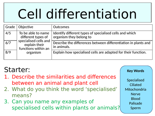 OCR GCSE (9-1) Biology - Cell differentiation