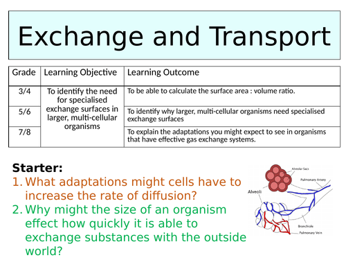 OCR GCSE (9-1) Biology - Exchange & Transport