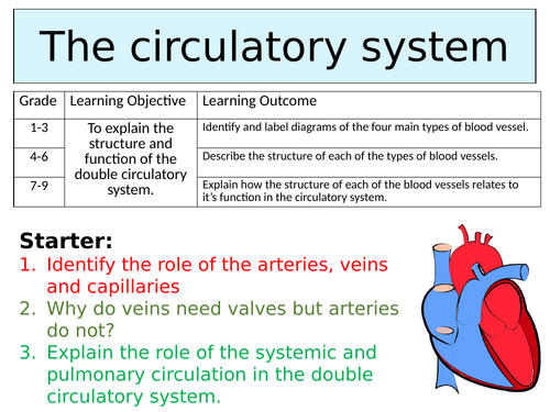 OCR GCSE (9-1) Biology - The circulatory system